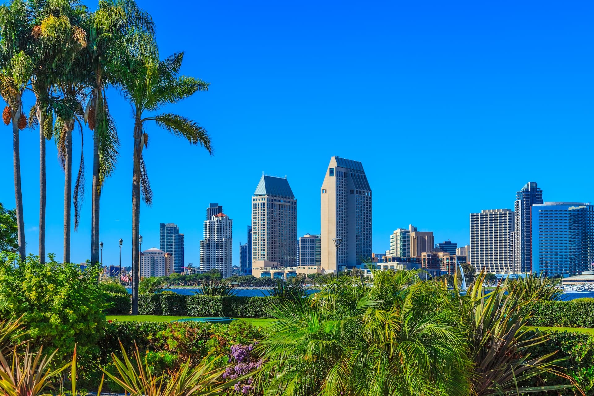 San Diego skyline